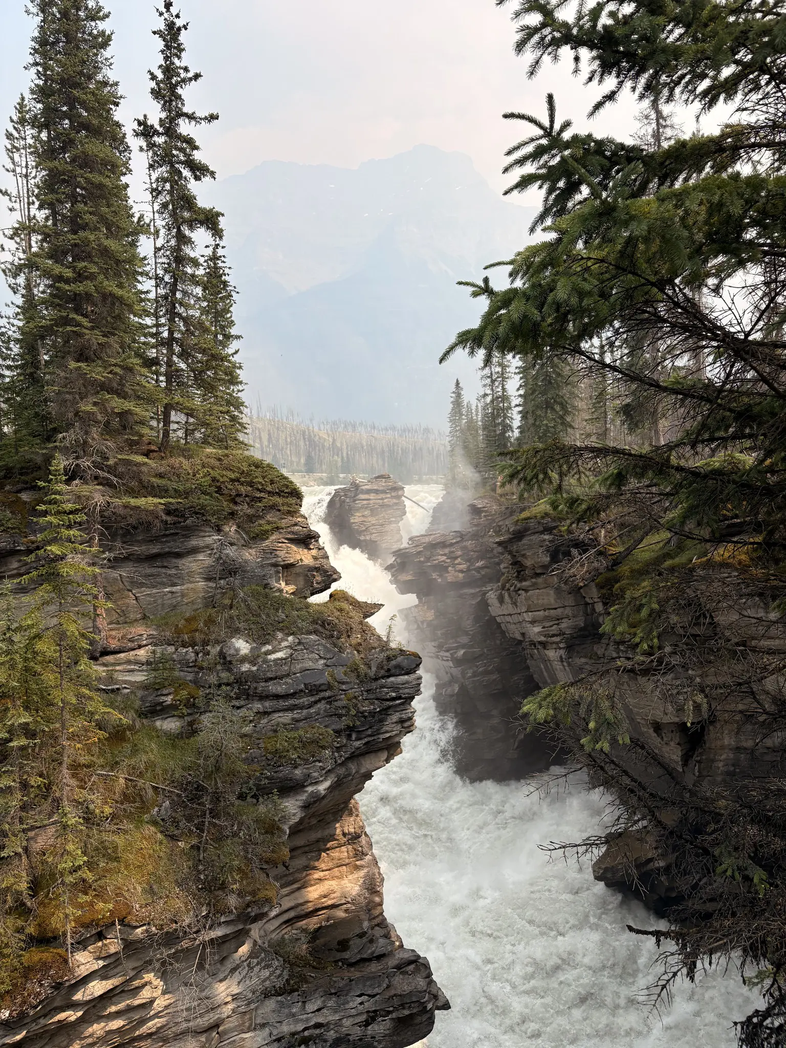 Athabasca Falls in Jasper National Park, Canada