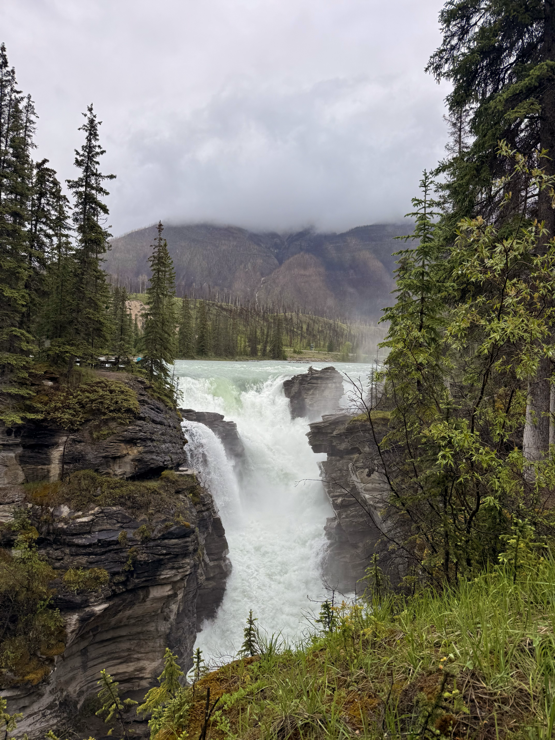 Athabasca Falls in Jasper National Park, Canada