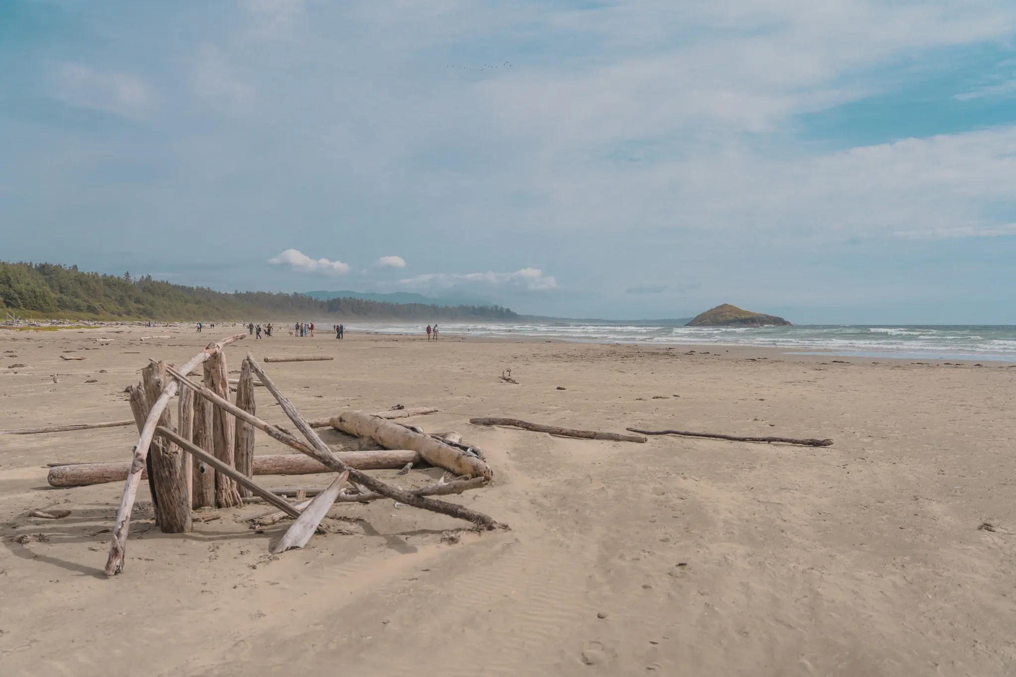 wide sandy beach with driftwood and distant island in Tofino