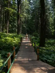 woman walking on a wooden boardwalk through a lush forest in Canada