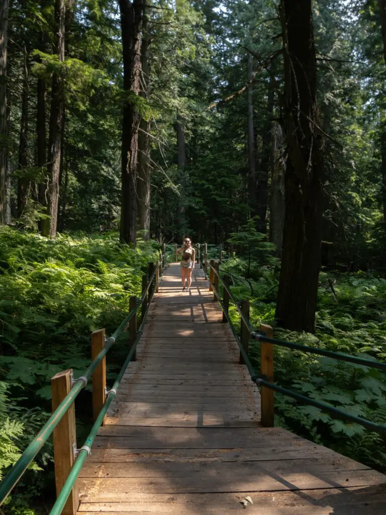 woman walking on a wooden boardwalk through a lush forest in Canada
