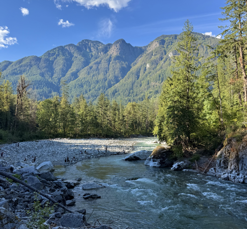 river flowing through a forest with mountains in the background